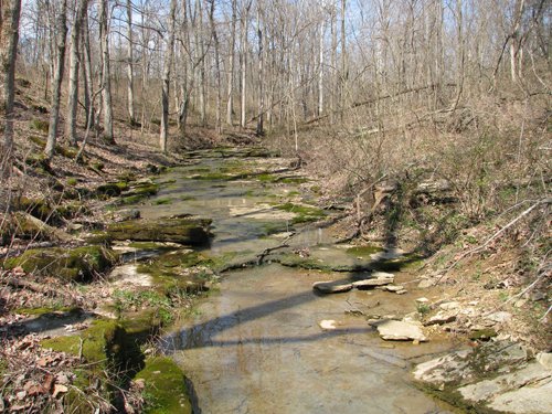 Property photo 1 - 137 Acres in 2 Tracts - 64 Tillable Acres, Potential Building Sites, Hunting
